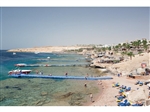 Oferte Sharks Bay