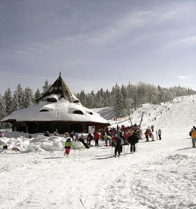 Oferte Cavnic-Suior