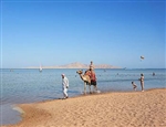 Oferte Nabq Bay 
