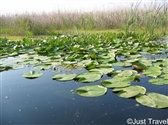 Team Building - Danube Delta, Romania 