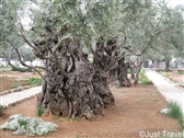 Israel 