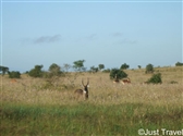 Kenya 