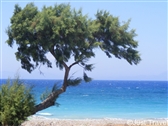 Rhodos 